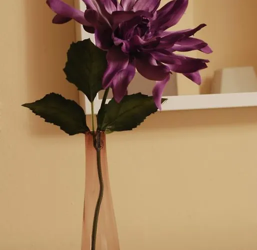 Affittacamere Avondale Guest Waterford